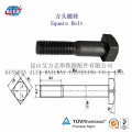 Square Head Bolts with Nut and Washer for Rail Fastening System